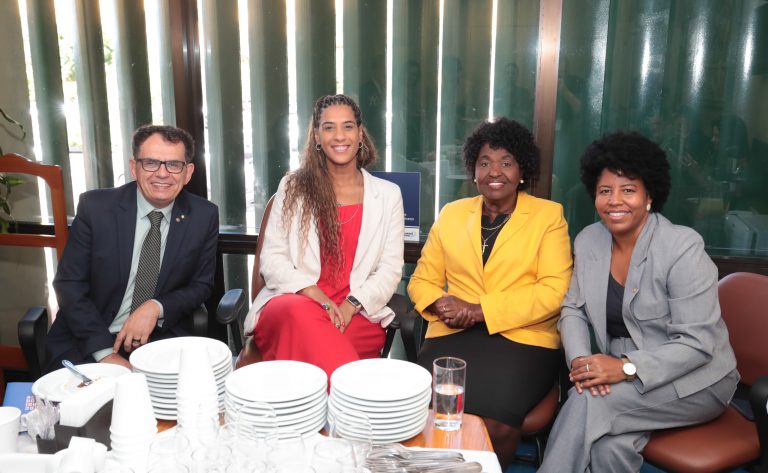 Ministra pede apoio a deputados para políticas de igualdade racial