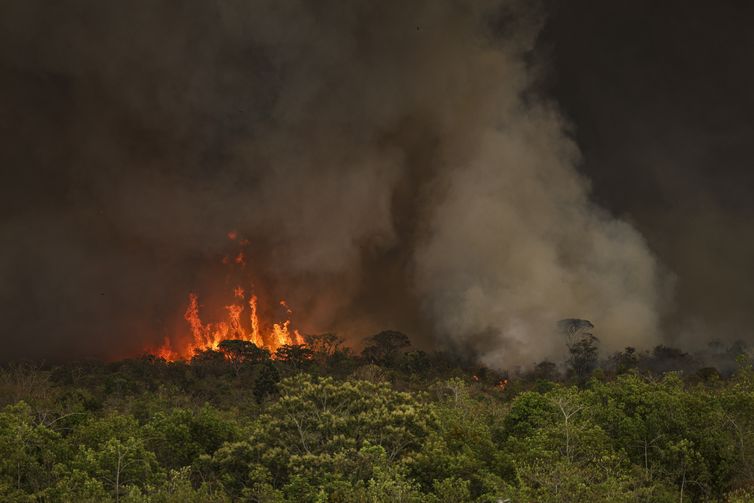 Câmara aprova aumento de punição a quem provocar incêndios florestais