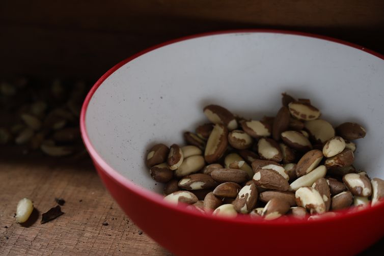 Agricultura familiar do Nordeste vai à maior feira mundial alimentos