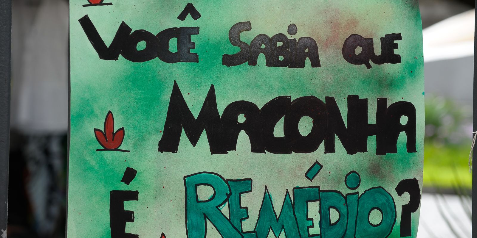 Assembleia do Ceará sedia simpósio sobre cannabis medicinal