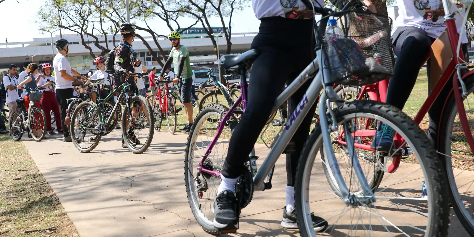 Justiça aceita denúncia contra 5 acusados de matar ciclista no Rio